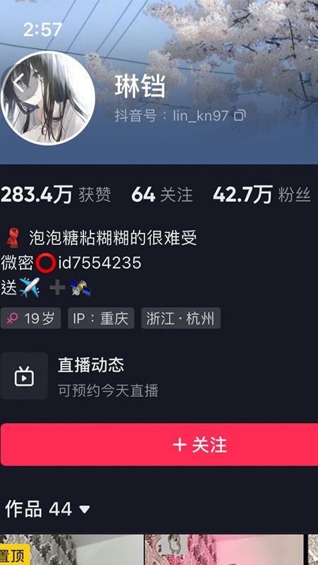 琳铛微密NO.051期【29P】最新至：2023.11.26插图