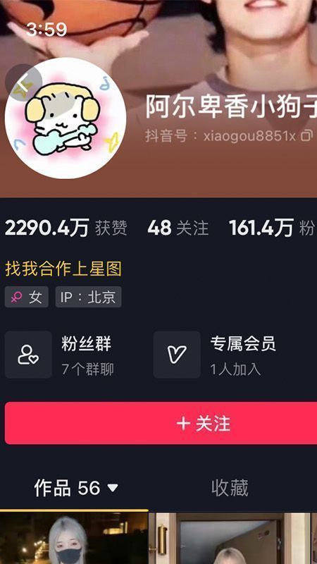 阿尔卑香小狗子微密NO.037期【21P】最新至：2023.11.12插图