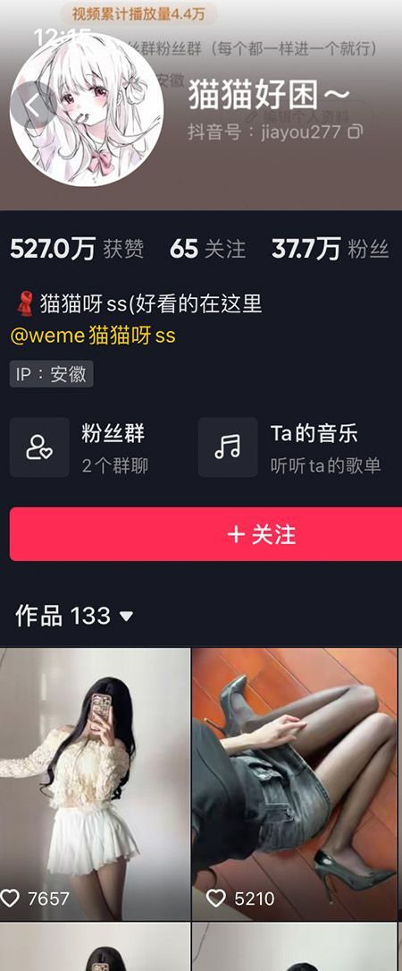 猫猫好困微密NO.003期【29P】插图