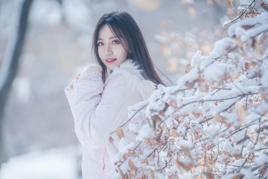Shika小鹿鹿雪景写真图包[小鹿鹿美图]插图3